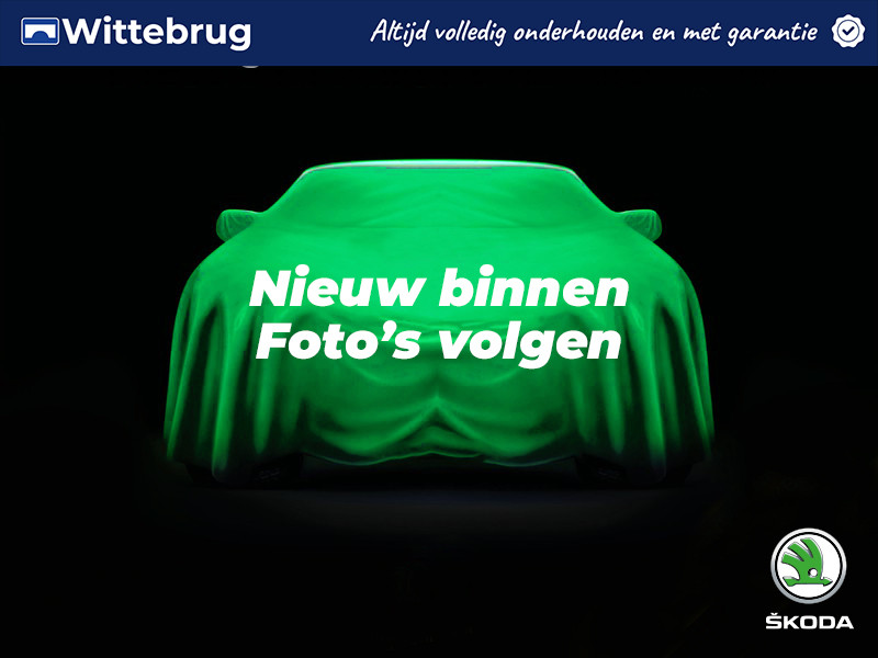 Škoda Fabia 1.0 TSI Ambition DSG Automaat
