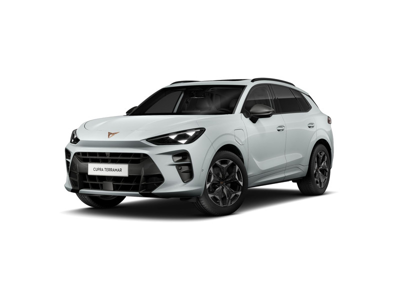 CUPRA Terramar Business