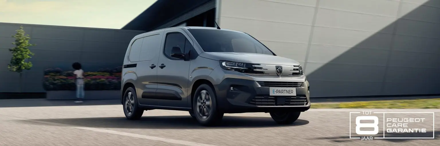 Peugeot Professional